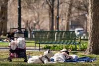 Utah needs a ‘Code Red’ policy to protect the homeless from extreme heat, report says