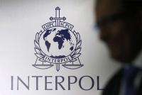 Interpol crackdown on illegal mining, logging, wildlife trafficking leads to 233 arrests
