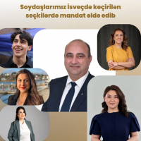 Six Azerbaijanis elected to parliament and local councils in Sweden