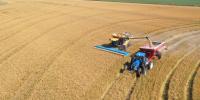 Iran War costs Arkansas farmers at least $343 million