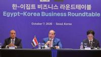 Sisi Explores Strategic Investment Opportunities with Top S. Korean Business Leaders in Seoul