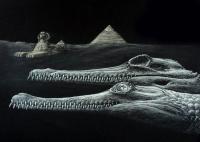 New Crocodile Species Discovered in the Limestone Used to Build Egypt’s Great Sphinx Is 45 Million Years Old
