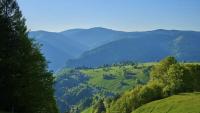 Scotland's answer to Germany's famous Black Forest is 'easy to fall in love with'