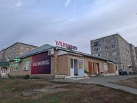 Russia’s Wildberries Finding Fertile Ground in Central Asia