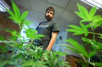 Owner of busted Madison cannabis shop, representing himself, demands trial