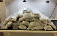 BC RCMP: Cannabis smuggler caught in the act, pleads guilty
