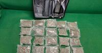 Hong Kong Customs Seizes 6kg of Cannabis, Arrests Two in Trafficking Case at Airport