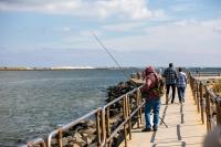 Weather Perks Up As Offshore Winds Move Into Position  