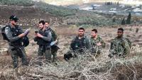 Israel’s olive harvest policy leaves Palestinian farmers shut out - opinion