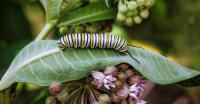 Delaware Highlands announces winners of ‘Confluence: Land, Water, Wildlife’ photo contest