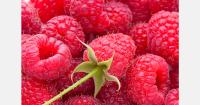 Raspberry prices in Ukraine reach record levels as supply declines