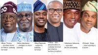 Nigeria’s 2027 Transition: A Subsidy Debate and the Green Agenda of Electoral Candidates  