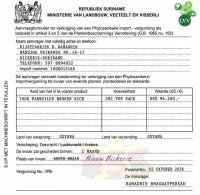Suriname rejects 384.8 tonnes of Guyana rice over missing import approval
