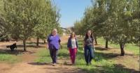 Women take on growing role in California agriculture as next generation enters industry