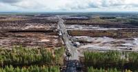 Google Ordered to Stop Bulldozing Forests for Data Centers Until Environmental Study Complete