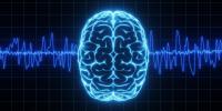 Scientists Dismissed a Theory of Consciousness for 40 Years. New Evidence Suggests They Spoke Too Soon.