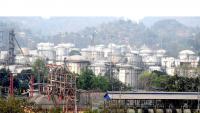 OMCs' fuel marketing losses narrow sharply in September quarter: Report