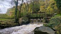 Massachusetts streams may hide 'ghost dams' that raise flood risk