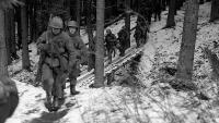 The Death Traps of the Schnee Eifel — Inside the U.S. Army’s Costly Assault on Germany’s West Wall