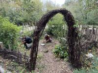 Reconnecting With Native Plants And First Foods At Seattle’s Daybreak Star