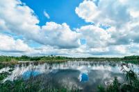 Comprehensive Guide to All the National Parks in Florida