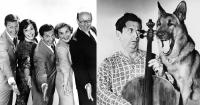 According to Morey Amsterdam, before it became a TV classic, The Dick Van Dyke Show was a slow starter