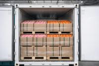 New cover protects forwarders from late or temperature-hit cargo