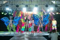 Guyana Carnival unveils “Wildlife” theme & costumes for 2027 season