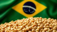 Brazil’s Real, El Nino in Focus for Grain Markets