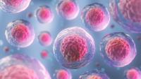 Engineering a New Generation of Cancer-Fighting Cells