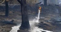 Climate change not the only blame for bushfire crisis