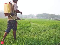 Government to review fixed costs for urea plants, subsidy payouts may change