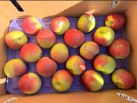 Kiwanis Apple Drive continues long-standing fundraiser in Swift Current