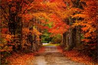 Peak foliage, fairs and pumpkins take over New Hampshire