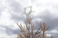 Public advocacy staff for New Mexico utility regulator seek probe into PNM over high power bills