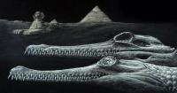 Ancient crocodile with missing snout named for Egyptian god