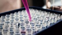 U.S. Presses Moscow for Answers After Mysterious Death at Russian Pathogen Lab