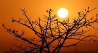 September was hottest month since records began in Portugal