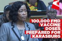 Government opts for FMD vaccination over culling