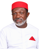 Kari, Tinubu-APC and Nigeria’s years of devaluation, by Paul Ibe