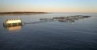 Aquaculture industry group rebrands as Canadian Seafood Farmers