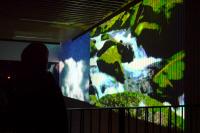Humber Lakeshore celebrates student art at Nuit Blanche