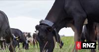 Agriculture industry slow to take up new AI tech