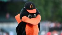 Report: Baltimore Orioles mascot among staff layoffs