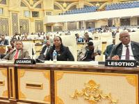 ‘Africa must turn seed plans into action’ – AU