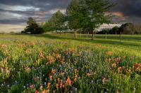 Nebraska CSP, EQIP application deadline set for Oct. 16