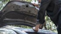 Pennsylvania driver stops for gas, pops hood, and says a python lunged from the engine bay