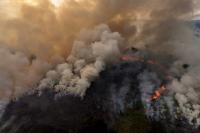 Compounding Climate Impacts Drive Tropical Forest Decline