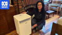 Clean-air advocates want the government to axe woodfired heaters
