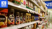 Greens launch election platform with promise to slash grocery prices